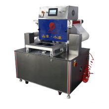 DZ-ZT Meat Fish Cheese skin packing machine